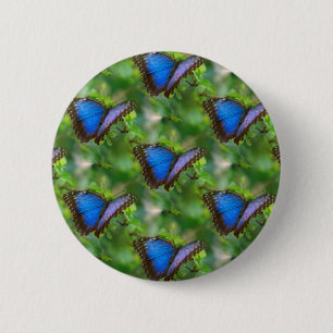 Blue Butterfly Button