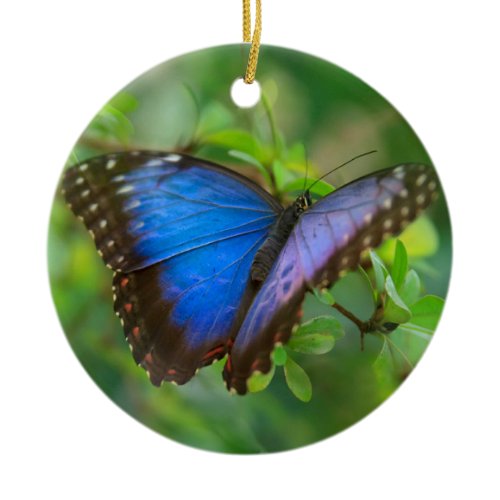 Blue Butterfly Ceramic Ornament