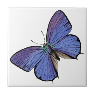 Blue butterfly ceramic tile