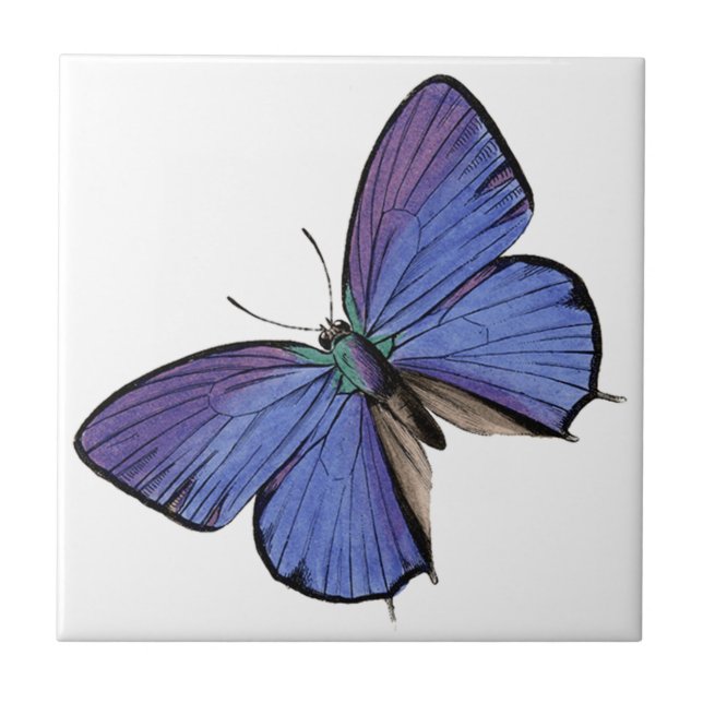 Blue butterfly ceramic tile (Front)