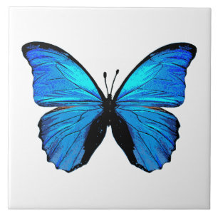 Blue butterfly ceramic tile