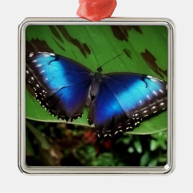Blue Butterfly Christmas Ornament (Front)
