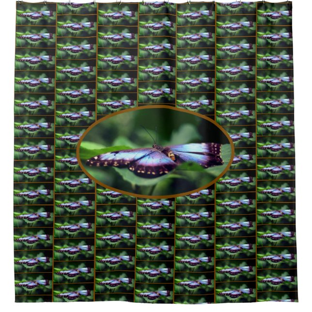 Blue Butterfly Close Up Nature Pattern    Shower Curtain (Front)