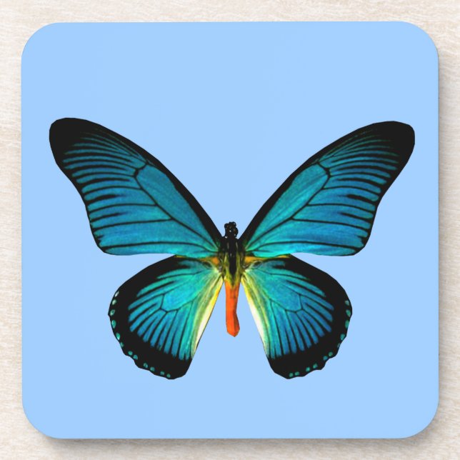 Blue Butterfly Coasters (Front)
