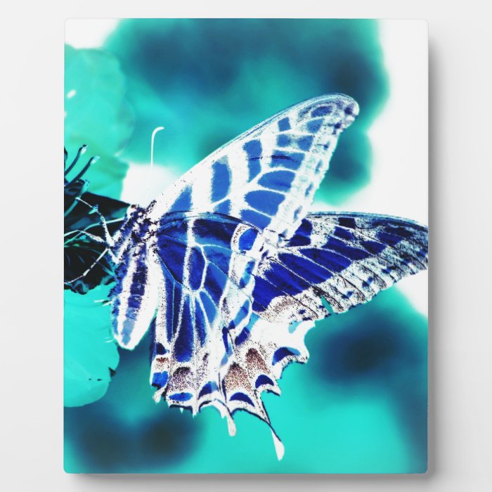 Blue Butterfly Display Plaques