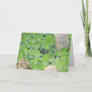 "Blue Butterfly" Easter Card