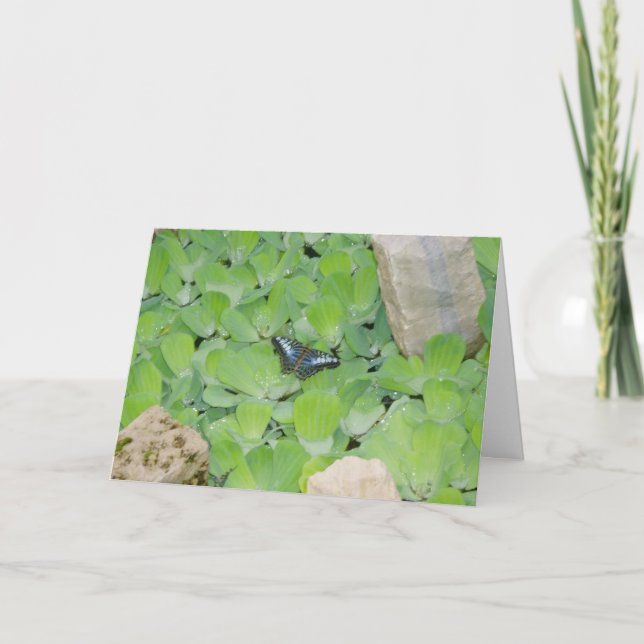 "Blue Butterfly" Easter Card (Front)