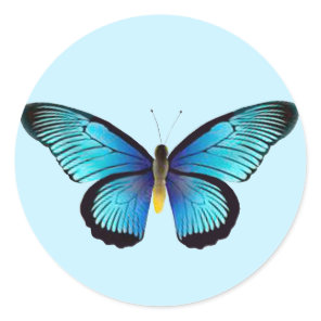 Blue  Butterfly Envelope Seals
