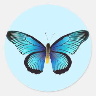 Blue Butterfly Envelope Seals