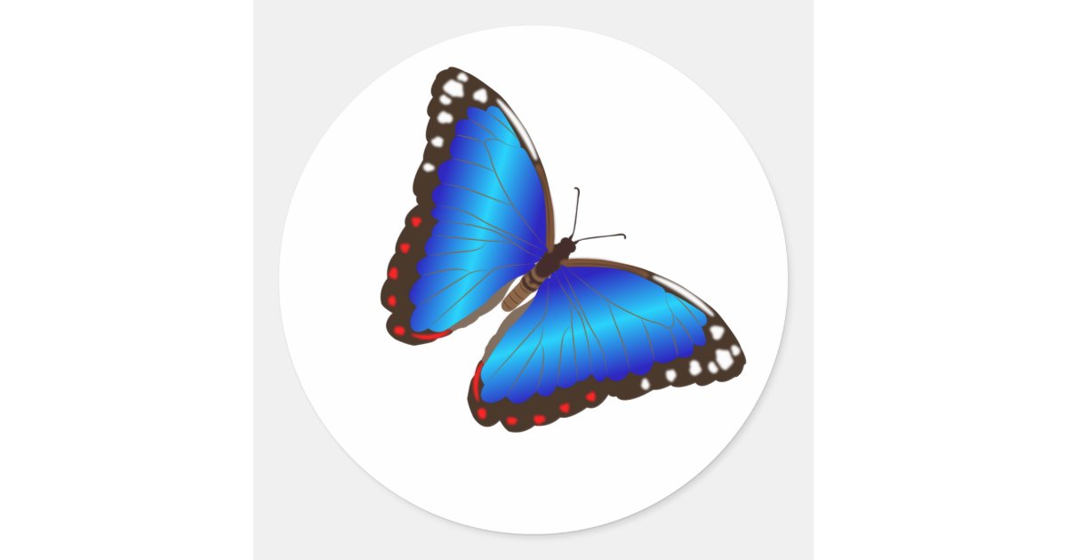 Blue Butterfly Envelope Seals Stickers Zazzle