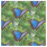 Blue Butterfly Fabric
