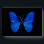 Blue Butterfly Flying Insect Envelope<br><div class="desc">For more like this, visit About this design: Among the more beautiful and symbolic of all flying insects, buteerflies have been a source of inspiration and artistic depiction since ancient times. Butterflies appear in many sizes and colors, and migrate long distances during their lifetimes. The ancient Greek term for "butterfly"...</div>