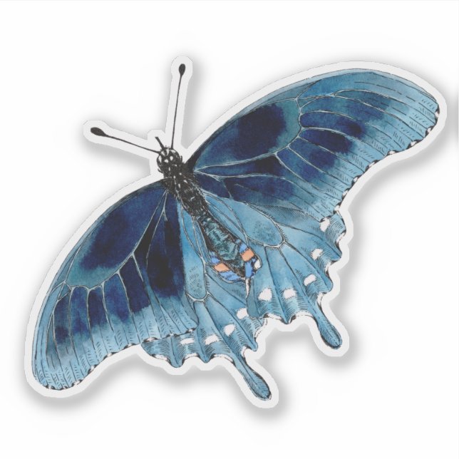Blue Butterfly Hand Painted Watercolor Sticker (Front)