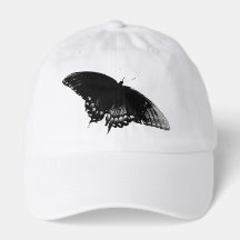 blue butterfly 