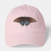 blue butterfly 