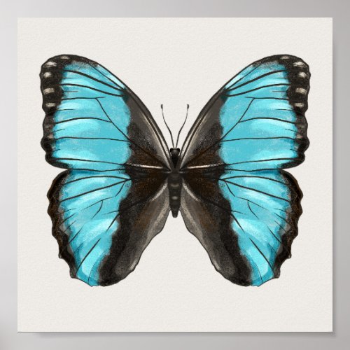 Blue Butterfly Insect Art Nature Lover Poster