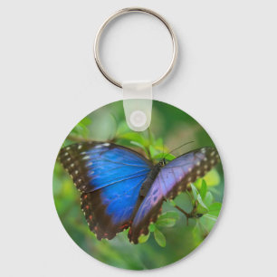Blue Butterfly Keychain