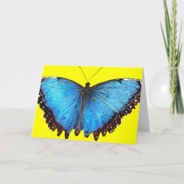 Blue Butterfly Letterpress Thank You Card (Front)