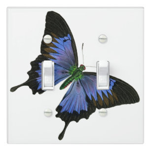 Blue Butterfly Light Switch Cover Double Toggle