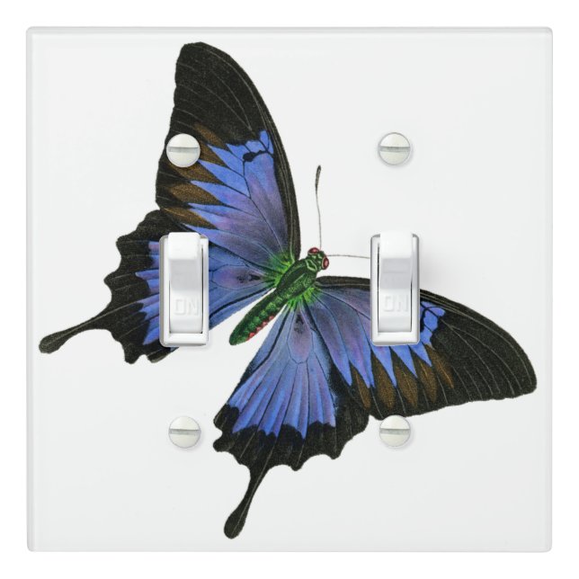 Blue Butterfly Light Switch Cover Double Toggle (In Situ)