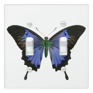 Blue Butterfly Light Switch Cover Double Toggle