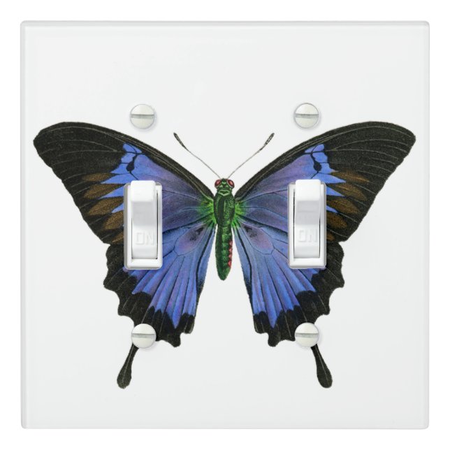 Blue Butterfly Light Switch Cover Double Toggle (In Situ)