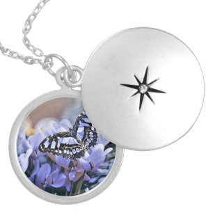 Blue Butterfly Locket Necklace