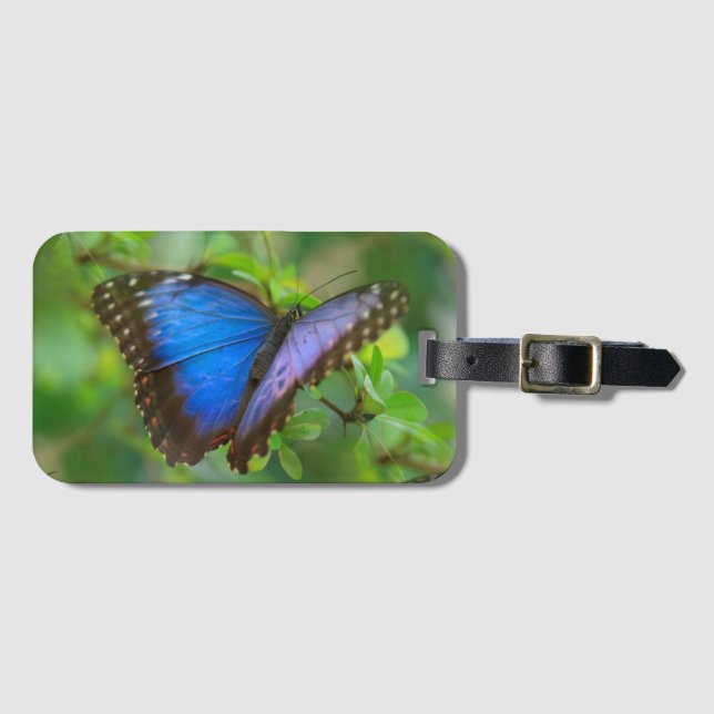 Blue Butterfly Luggage Tag (Front Horizontal)