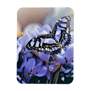 Blue Butterfly Magnet