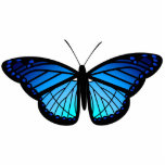 Blue butterfly magnet<br><div class="desc">Let this blue butterfly keep you company in your kitchen (on the fridge) or wherever else you might use a magnet. Keep in mind you can modify the options for this photo sculpture to create, instead, a key chain, a pin, or a stand alone sculpture. Have fun! If you like...</div>