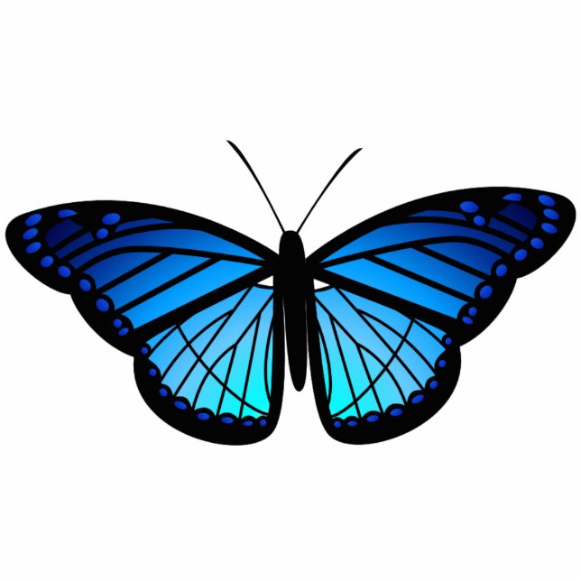 Blue butterfly magnet (Front)