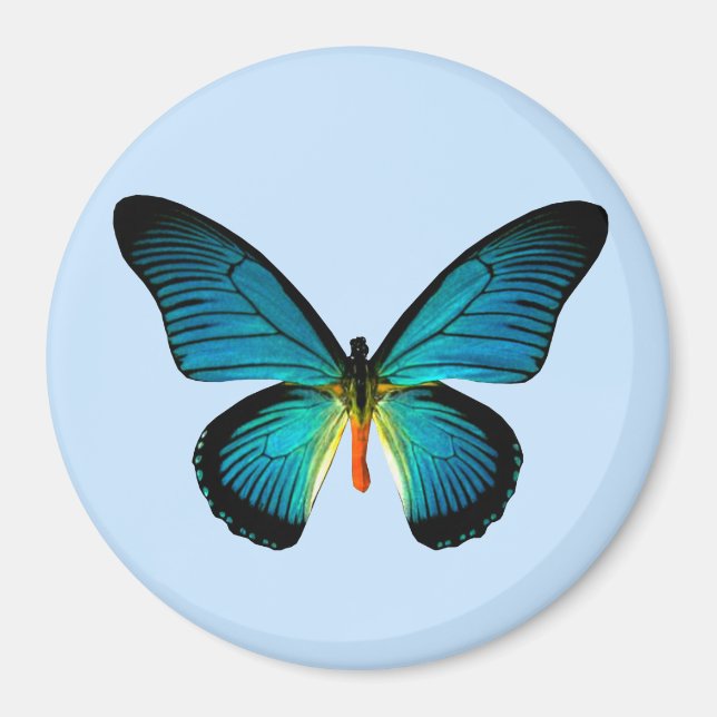 Blue Butterfly Magnet (Front)