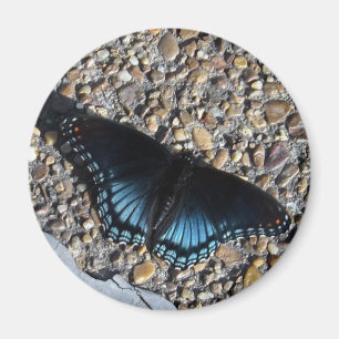 Blue Butterfly Magnet