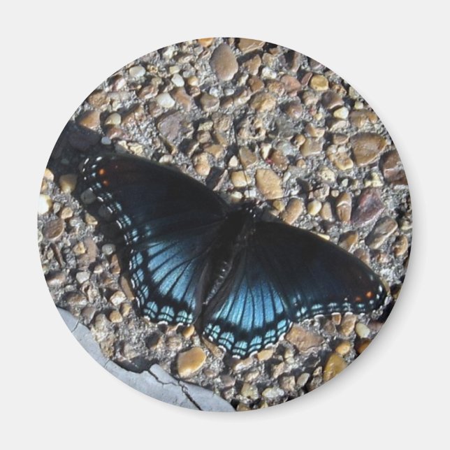 Blue Butterfly Magnet (Front)