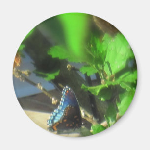 Blue Butterfly Magnet