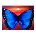 Butterfly Painting Art - Multi Postcard | Zazzle