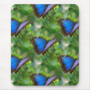 Blue Butterfly Mouse Pad