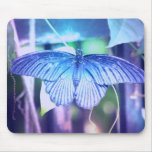 Blue Butterfly Mouse Pad