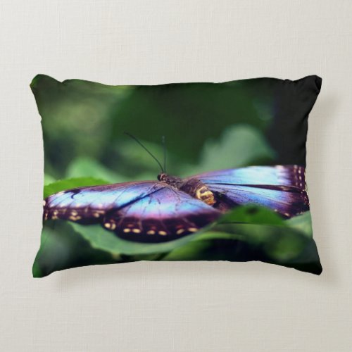 Blue Butterfly Nature  Accent Pillow