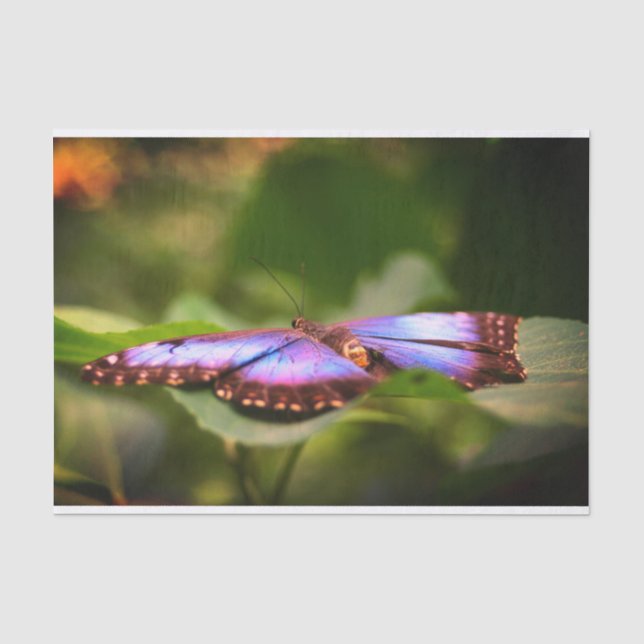 Blue Butterfly Nature Close Up Decoupage Tissue Paper (Front)