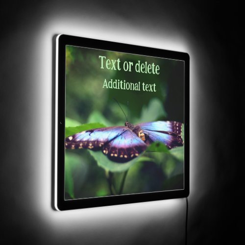 Blue Butterfly Nature Close Up Personalized LED Sign