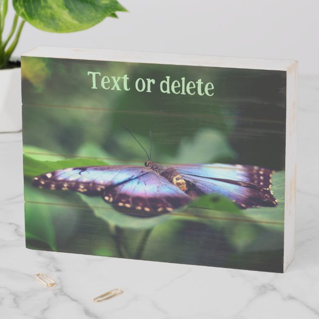 Blue Butterfly Nature Close Up Personalized Wooden Box Sign (In Situ Horizontal)