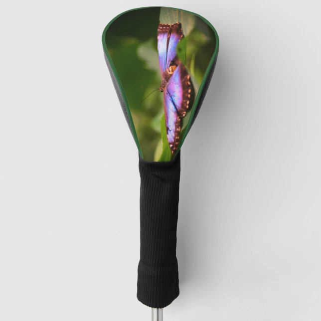 Blue Butterfly Nature Close Up Tint   Golf Head Cover (Front)