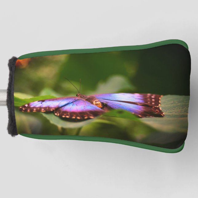 Blue Butterfly Nature Close Up Tint    Golf Head Cover (Front)