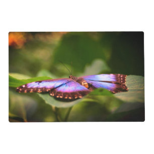 Blue Butterfly Nature Close Up Tint Placemat