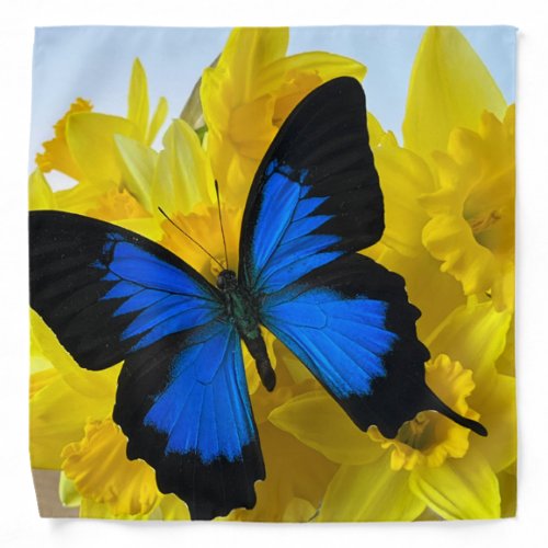 Blue butterfly on daffodils bandana