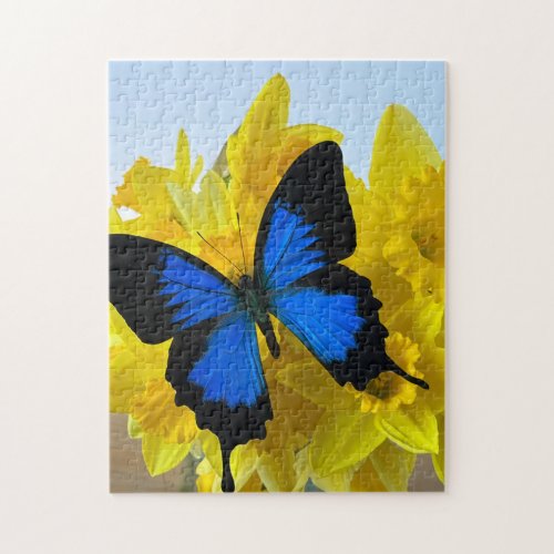 Blue butterfly on daffodils jigsaw puzzle