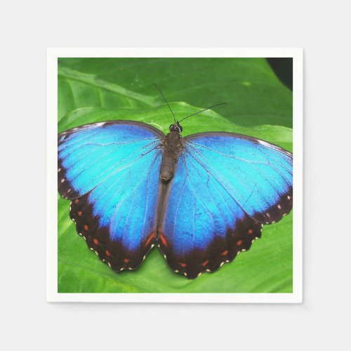 BLUE BUTTERFLY ON GREEN LEAF NAPKINS