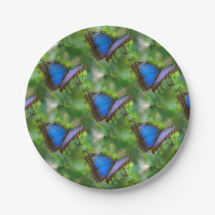 Blue Butterfly Paper Plates