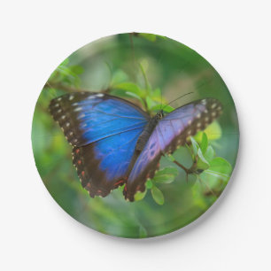 Blue Butterfly Paper Plates
